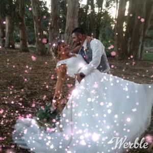 Meet your Posher, Rodney